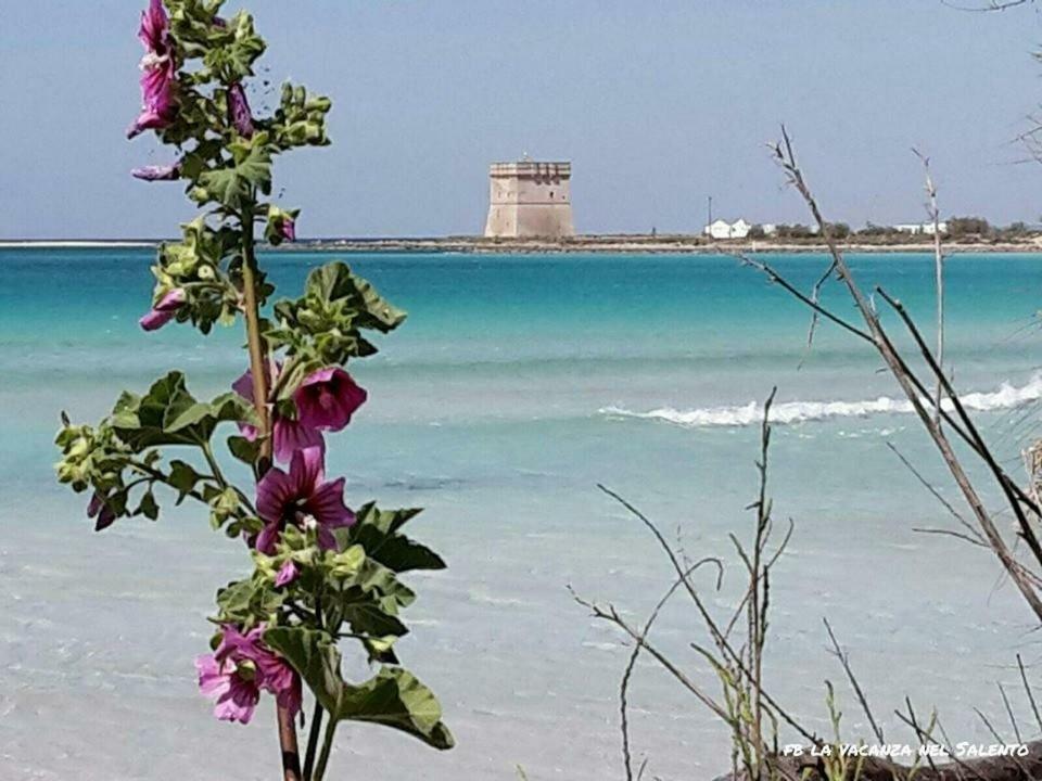 Casale Salento Bed and Breakfast Nardò Exteriör bild